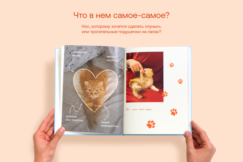 Фотокнига о питомце «Петбук»