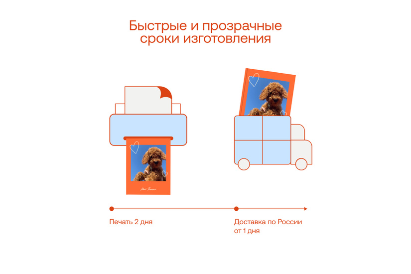Фотокнига о питомце «Петбук»
